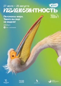 Иллюстрация из открытого источника
— На выставке собраны лучшие кадры этих удивительных птиц, сделанные в разных уголках нашей планеты российскими профессиональными фотографами и любителями, – сообщили сотрудники заповедника.