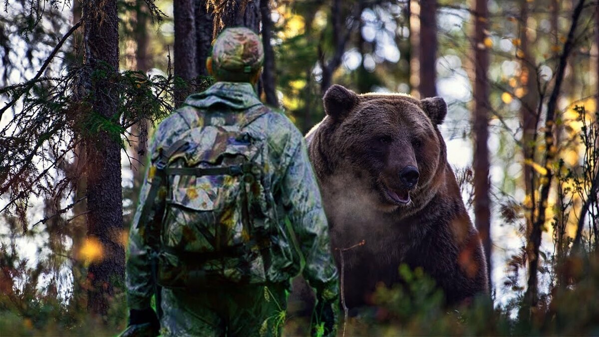 Медведь на тропе