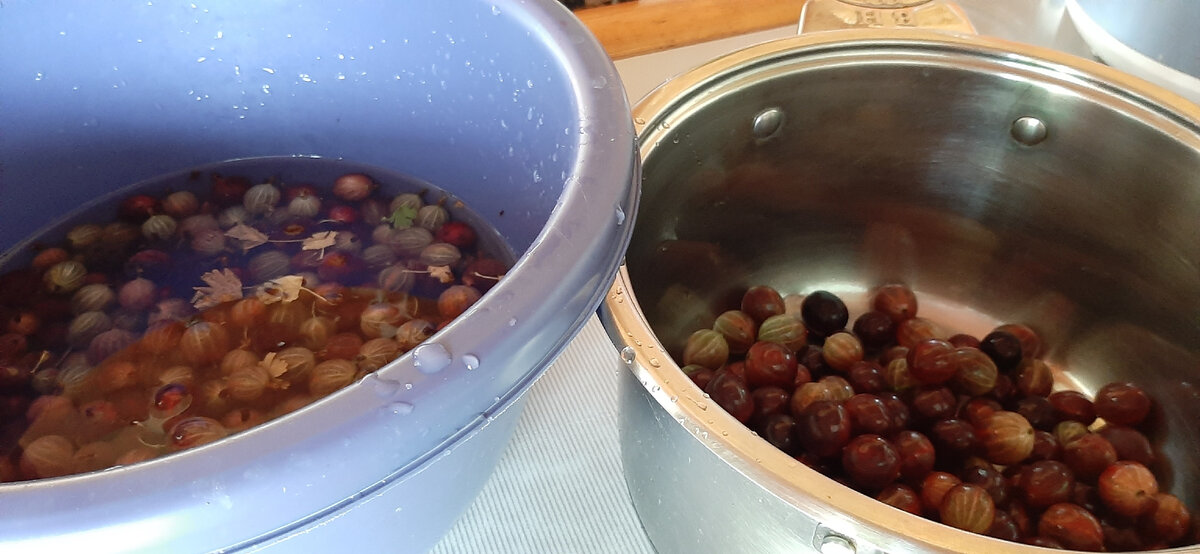 Процесс подготовки крыжовника к заготовкам. Фото автора Натальи Белотеловой.