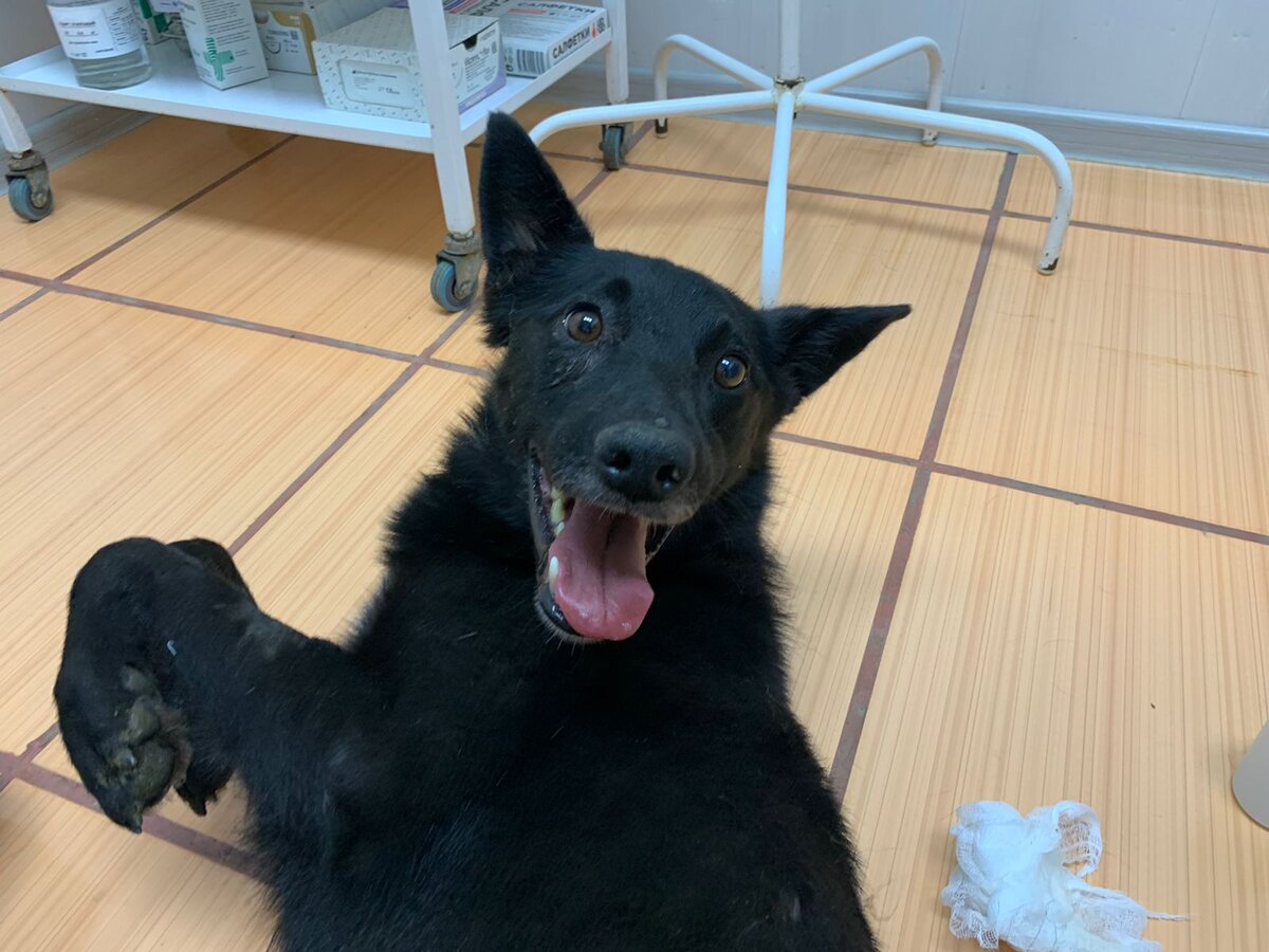 Мордочка уже счастливая 