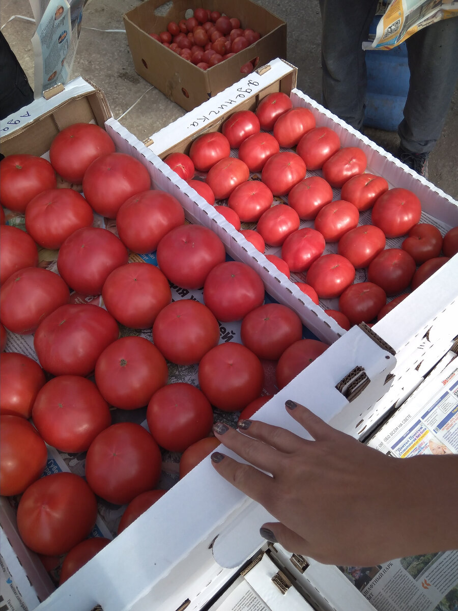 Готовятся к отгрузке на ФудСити.