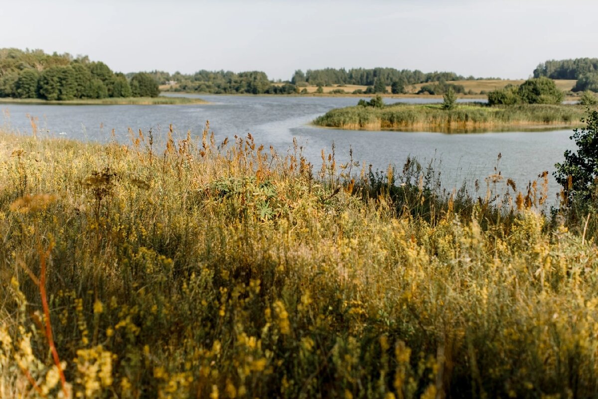 Безусловное служение в Естестве своём 