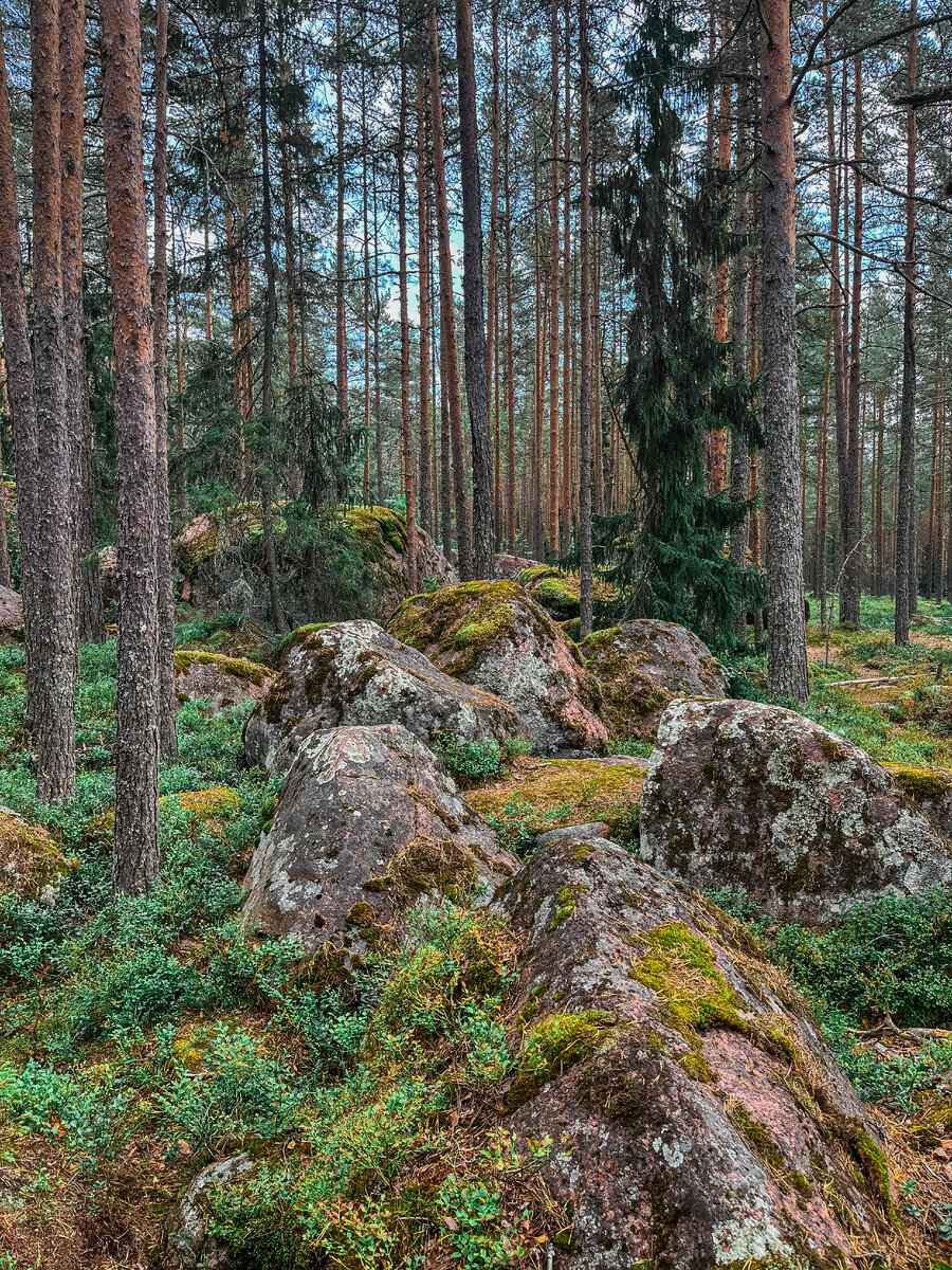 Проехали вокруг Ладожского озера. Рассказываю подробно про маршрут и ...