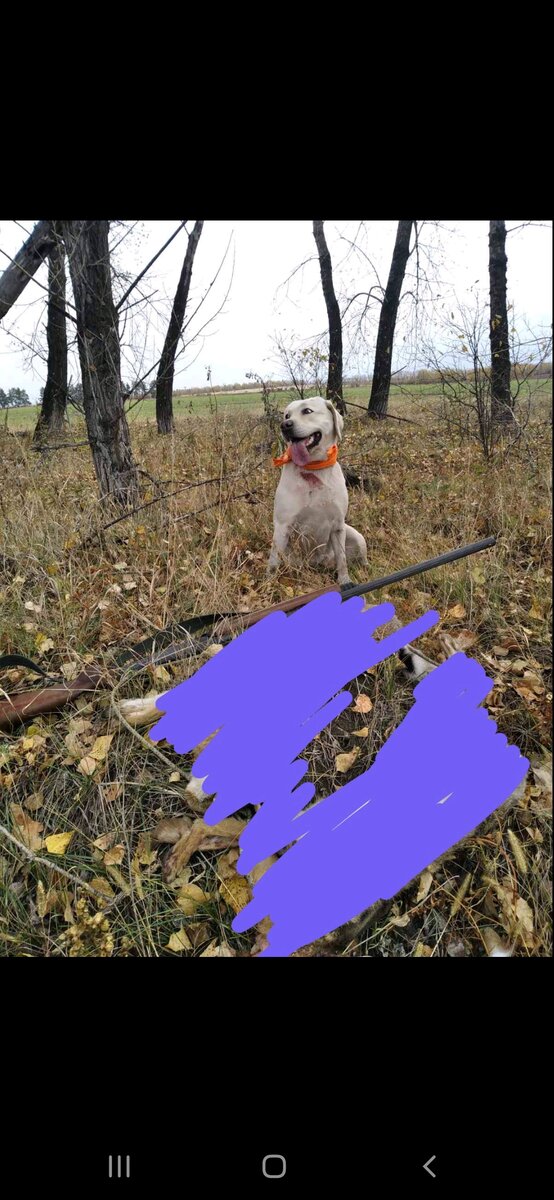 Замазала добычу