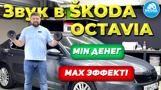 Skoda club piter