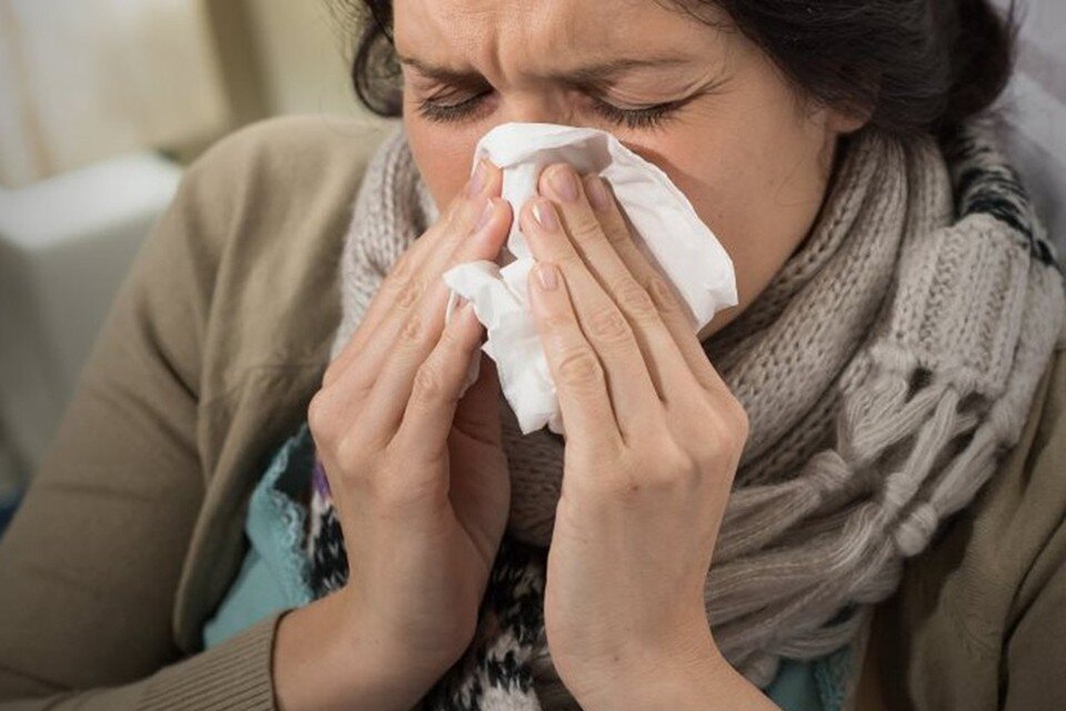     Основное место «жизнедеятельности» риновирусов – это нос  GLOBAL LOOK PRESS