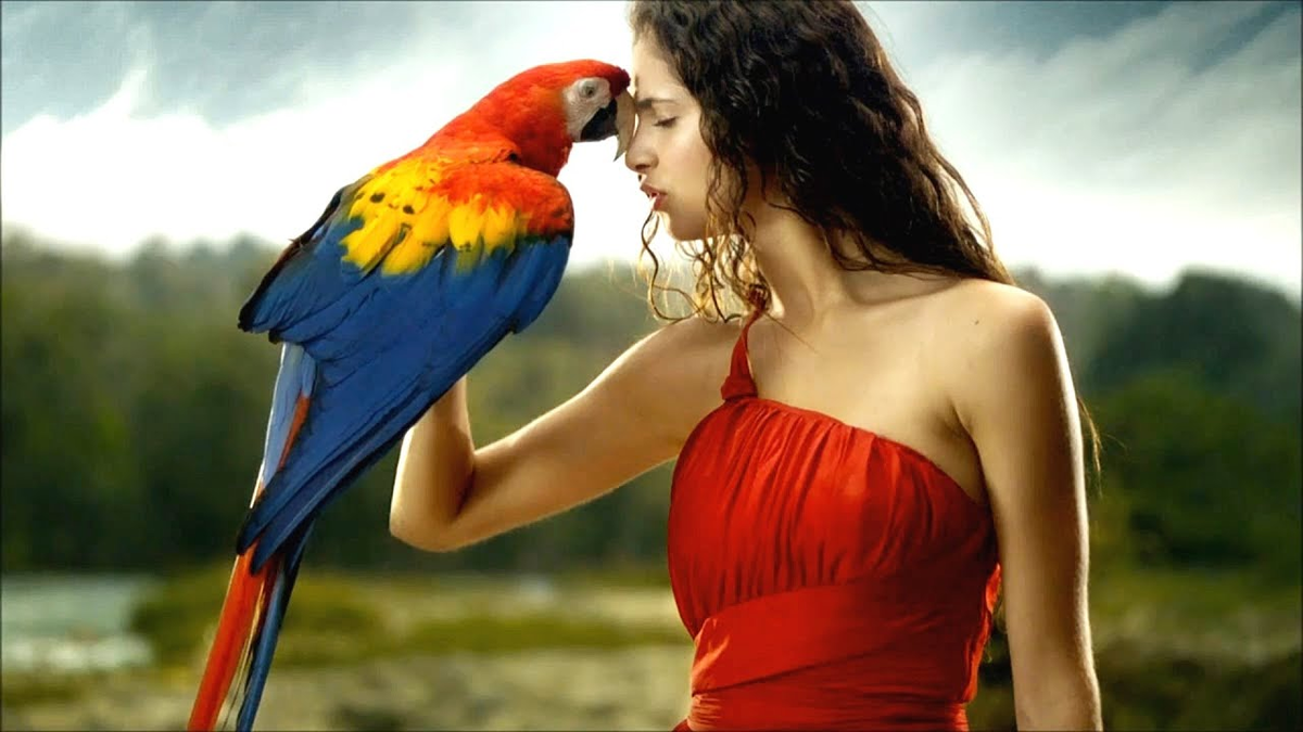 Самые красивые клипы песен. Девушка с попугаем. Красивые девушки с попугаями. Девушка с попугаем ара. Девушка в платье попугай.