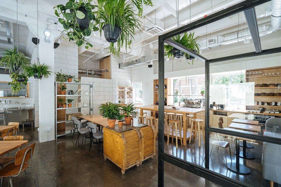 Futura grigorieva  📷
