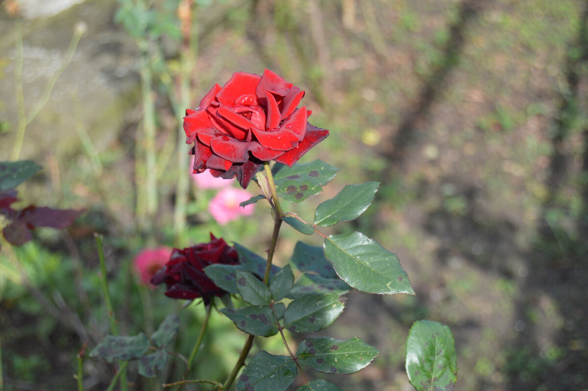 Фото автора. 03.10.2022.