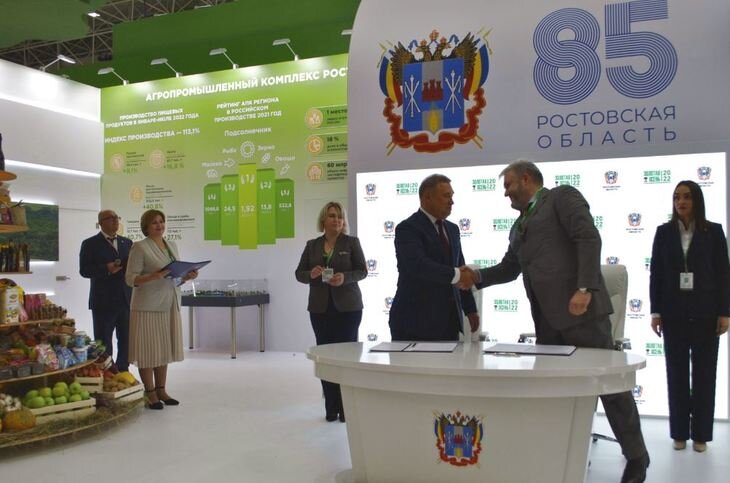    В Ростовской области создаются плантации фундука нового поколения