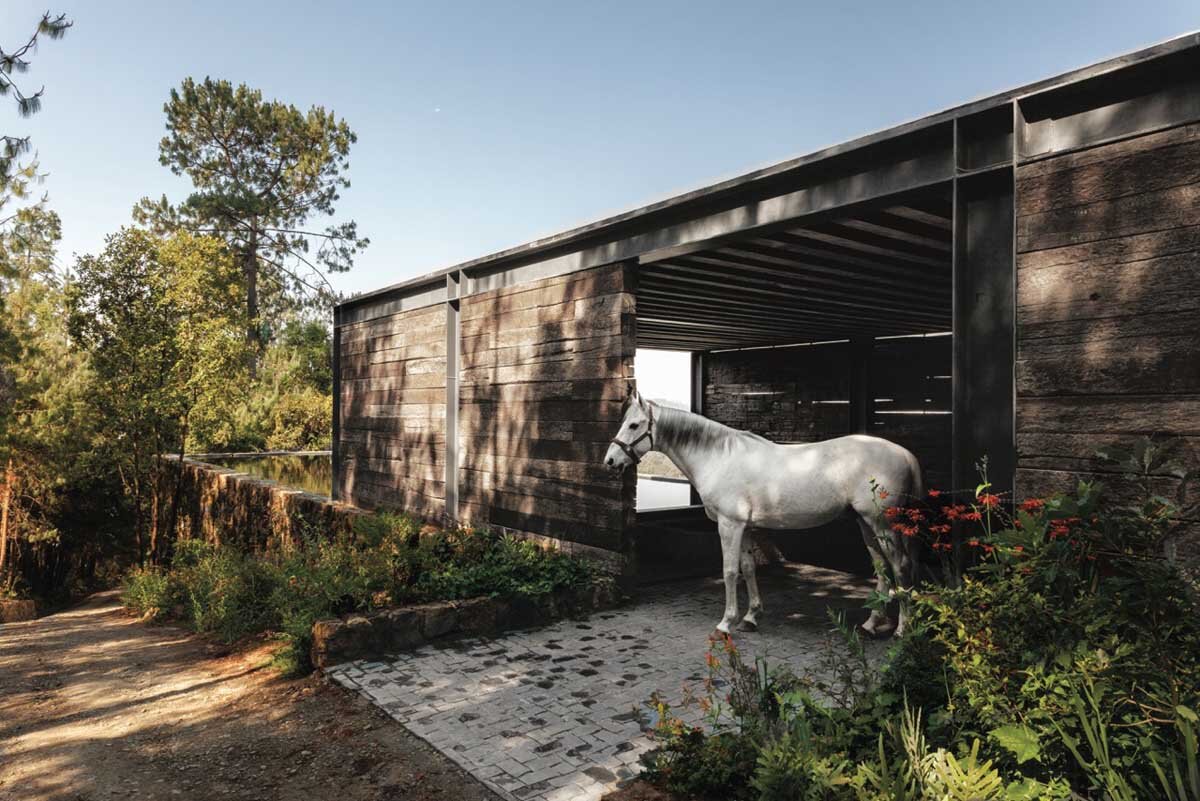 Эль-Мирадор, Мексика