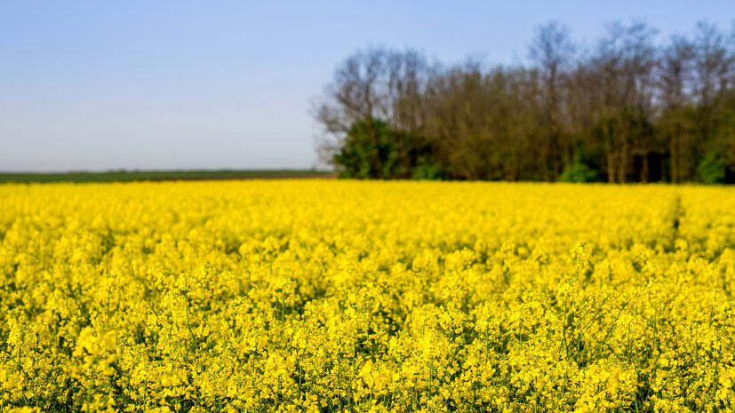   Gettyimages.ru Nemanja Otic / 500px