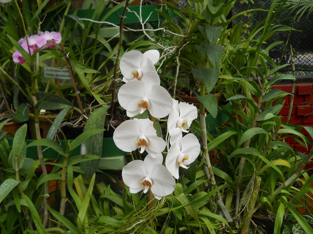 Фото: shutterstock