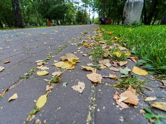     Густаво Зырянов / "МК в Новосибирске"