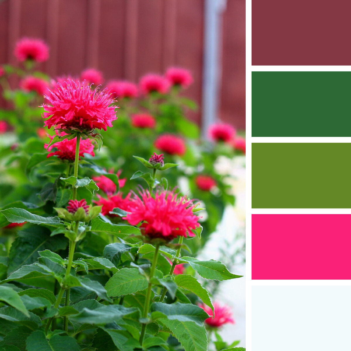 Цветовая палитра из моего снимка