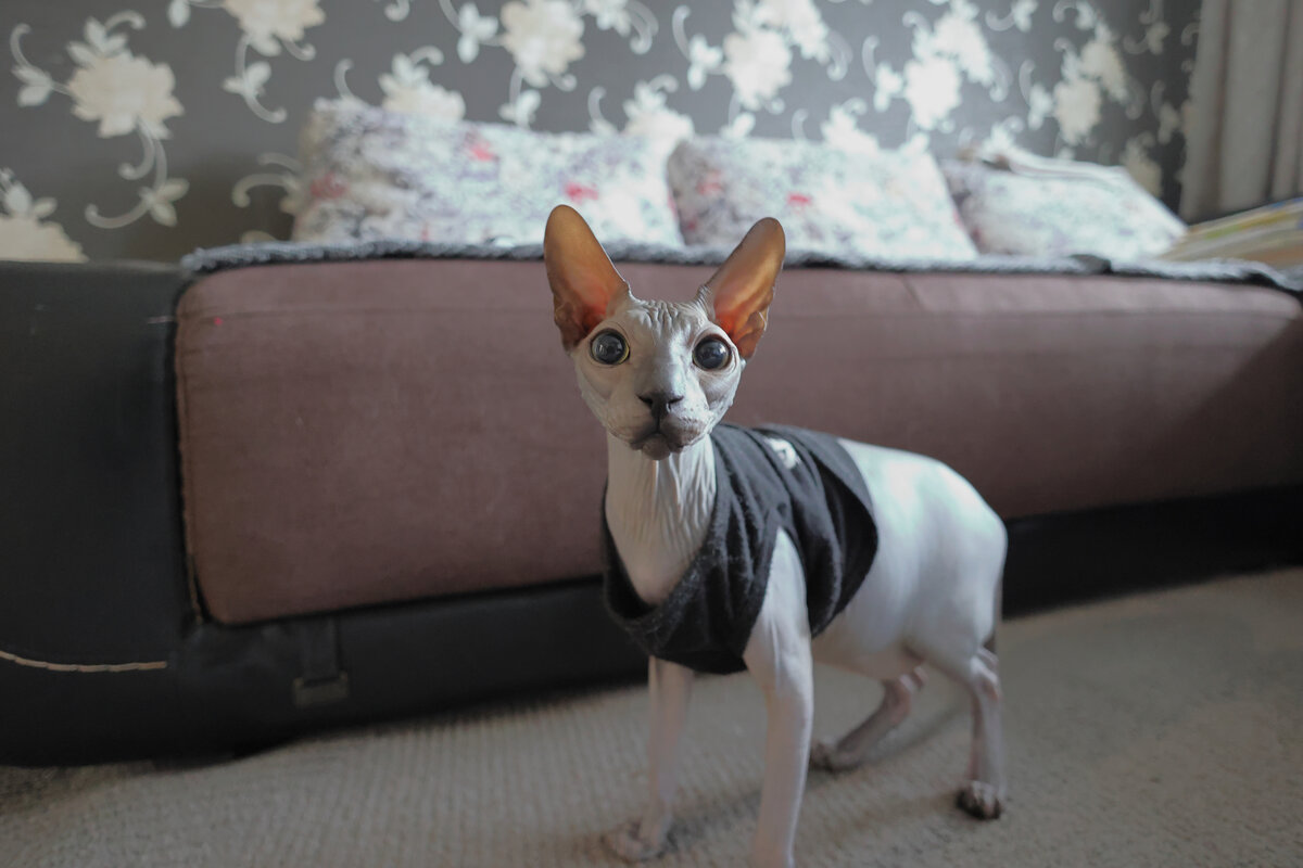 Ответственный за смету