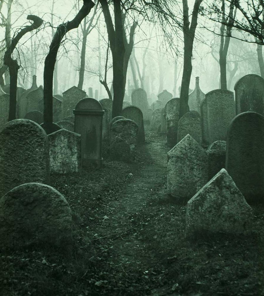 Картинка из общего доступа