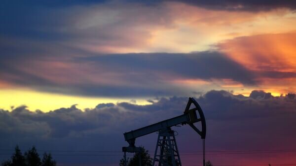   © РИА Новости . Максим Богодвид