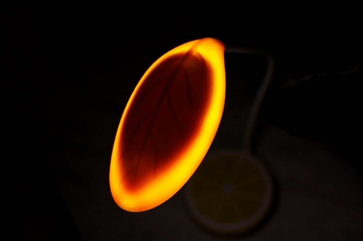    Дома Петербурга украсят световые проекции детских рисунков