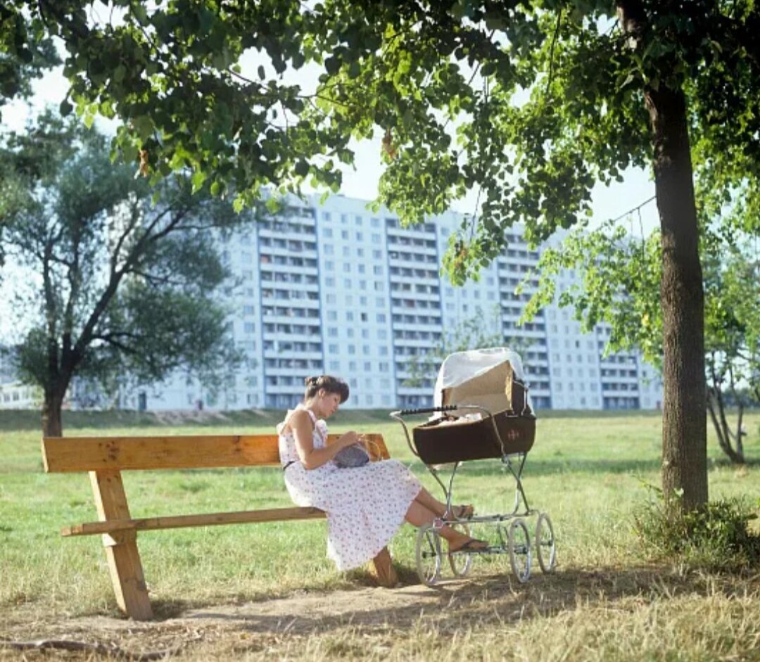 Вика шла гулять в парк (взято из Яндекс картинки) 