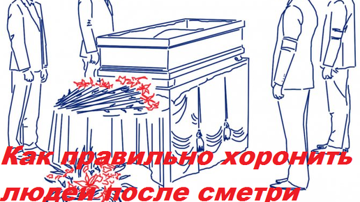 Как правильно похоронить кошку. Как правильно хоронить человека. как правильно хоронить птиц.