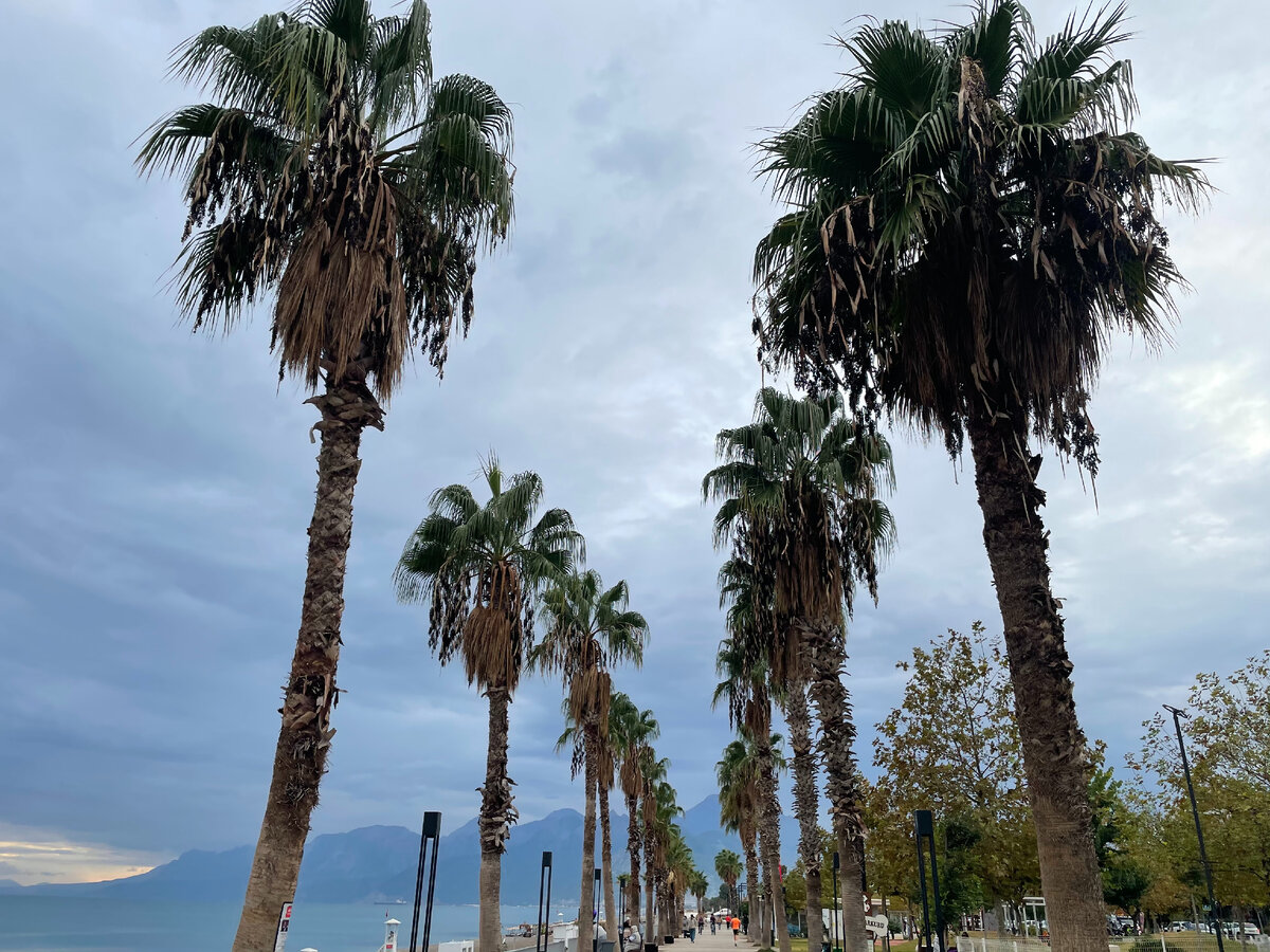 Анталья сейчас плывет... из-за дождей