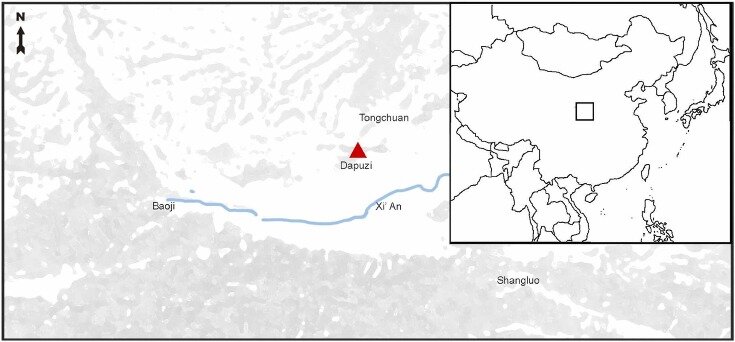   Xiaoya Zhan et al. / International Journal of Paleopathology, 2023