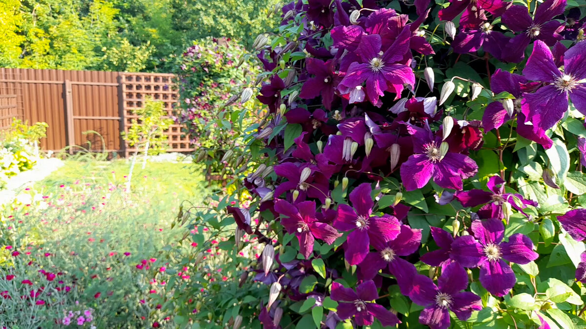 Обелиски летом