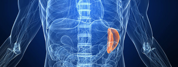 Отсутствия селезенки