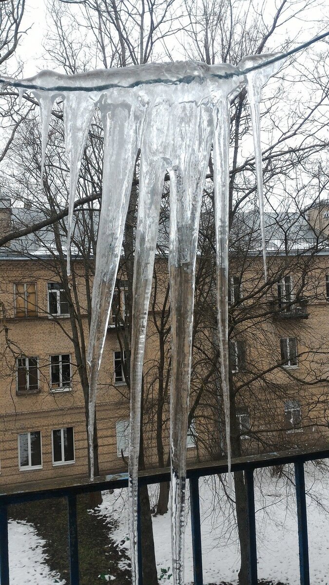    Фото: «МК в Питере»