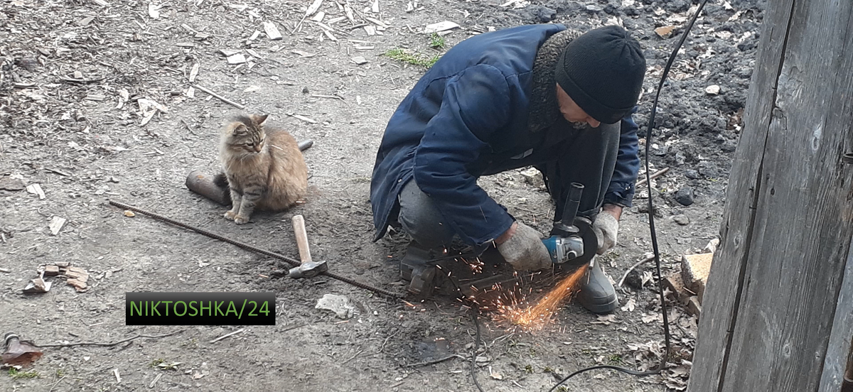 Кошка-строитель. Фото сделано лично мной