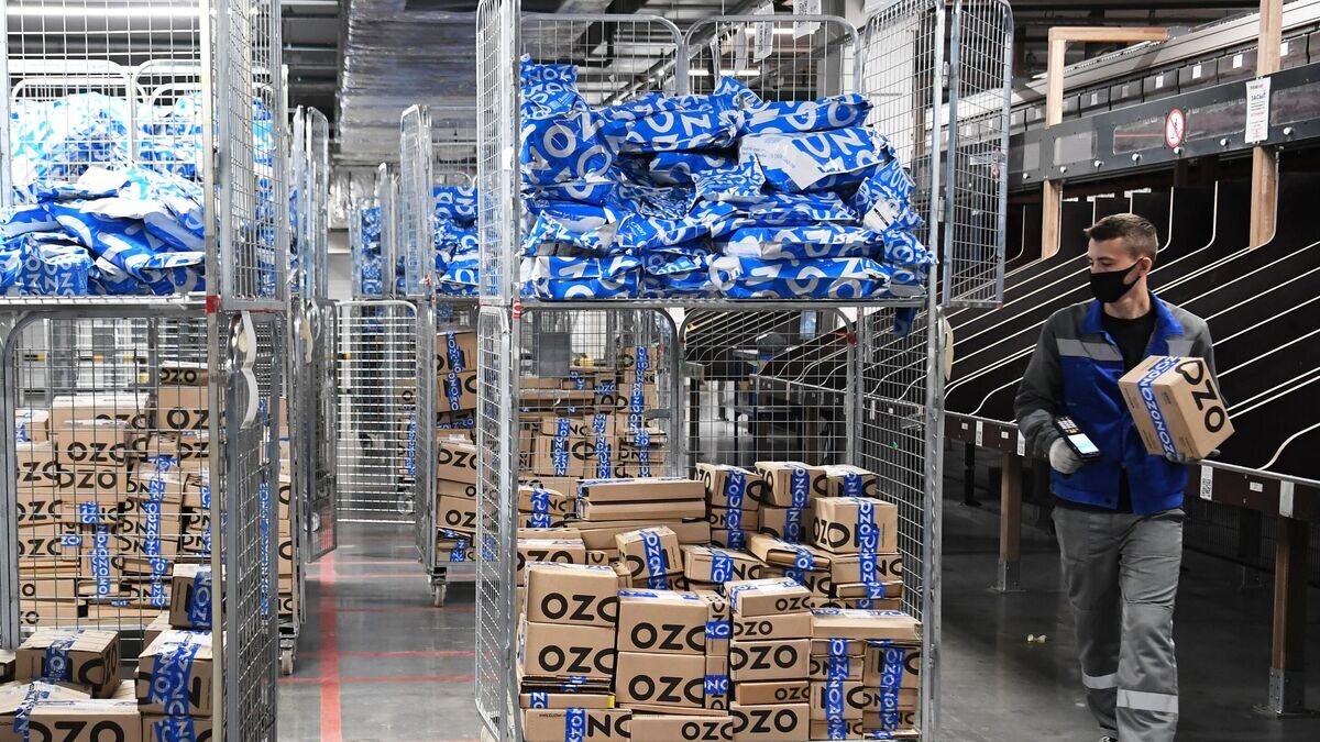    Сотрудник на складе логистического центра Ozon на территории ТОСЭР "Зеленодольск" в Казани© РИА Новости / Максим Богодвид
