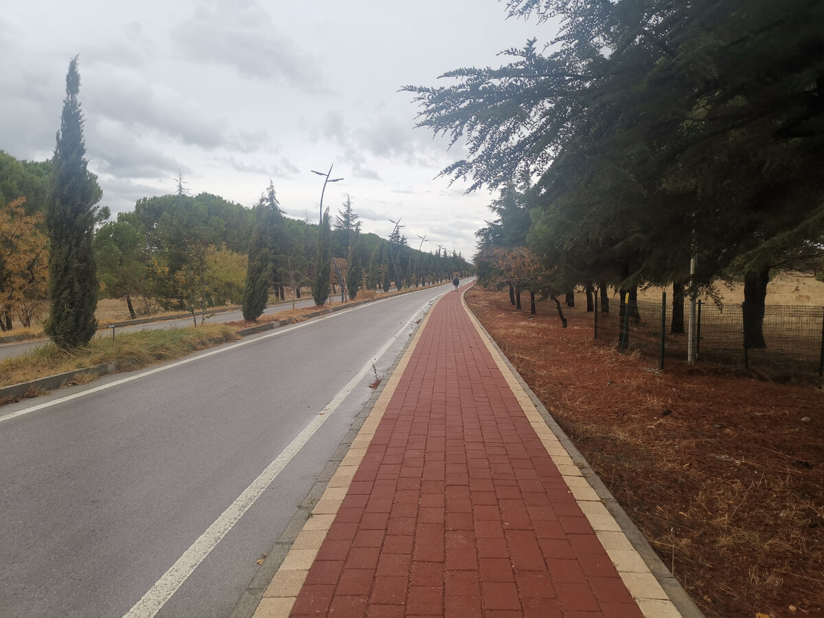 Дорога до Трои