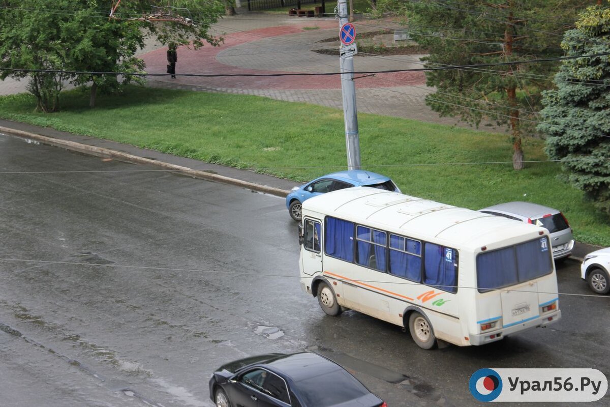 В Оренбурге хотят увеличить долю муниципального пассажирского транспорта на  дорогах с 10 до 50% | Урал56.Ру | Оренбург, Орск - главные новости | Дзен