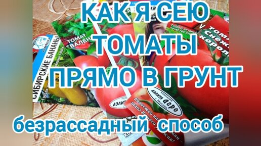 Как я сеяла томаты в открытый грунт. Безрассадный способ, плюсы и минусы. Семена томатов 2023.