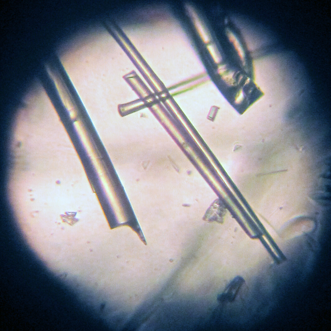 Стекловата под микроскопом. Источник: Википедия