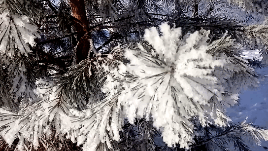 Видео автора