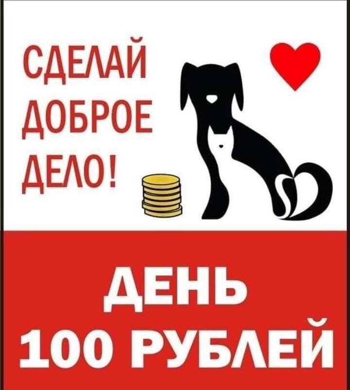 День стольника картинки