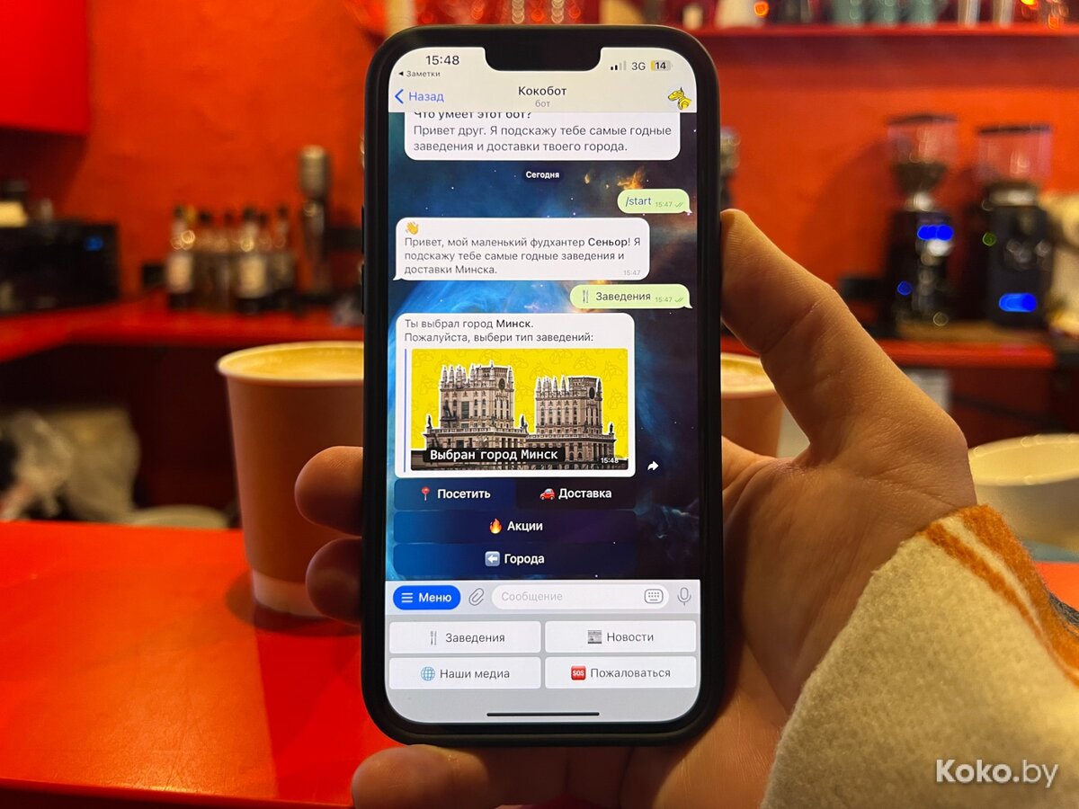 Найти достойное заведение в Беларуси стало ещё проще с новым карманным  помощником Кокоботом v.2.0 | KOKO.BY | Дзен