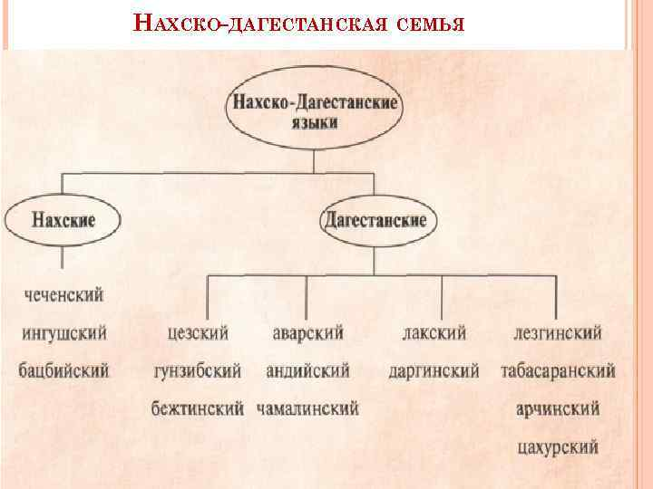 К какой языковой семье относятся народы дагестана. Нахско-Дагестанская группа языков. Нахско Дагестанская семья.