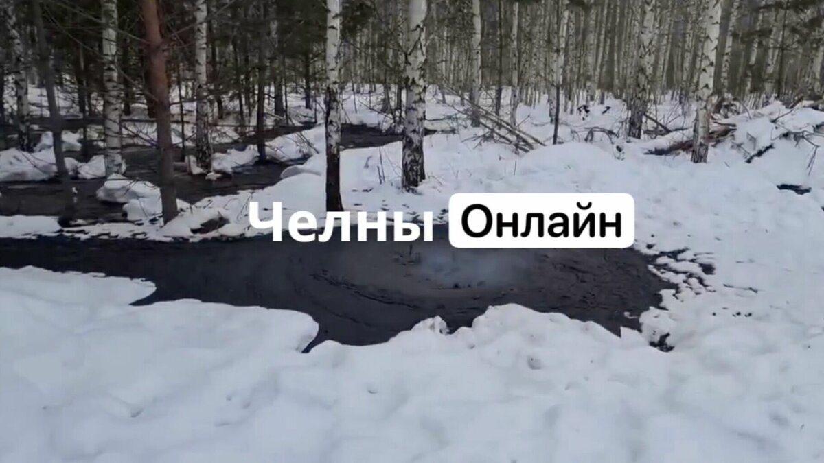    Жители Татарстана заметили в национальном парке «Нижняя Кама» черное пятно, которое разлилось на землю. Соответствующая публикация появилась в городском Telegram-канале «Челны Онлайн».