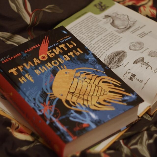 Фото  @miraclesaurus