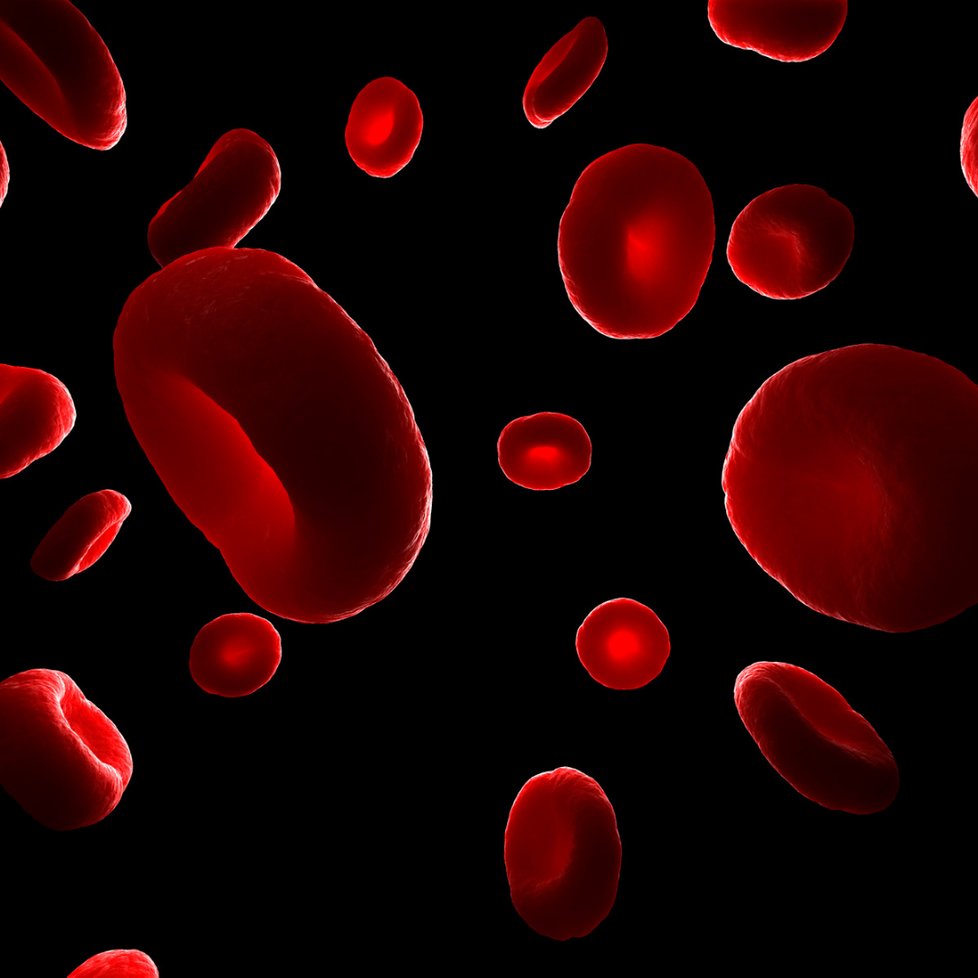 красная кровяная клетка 9 букв. 3 эритроцита. гематологическая картина это. красная кровяная клетка 9 букв. эритроциты.