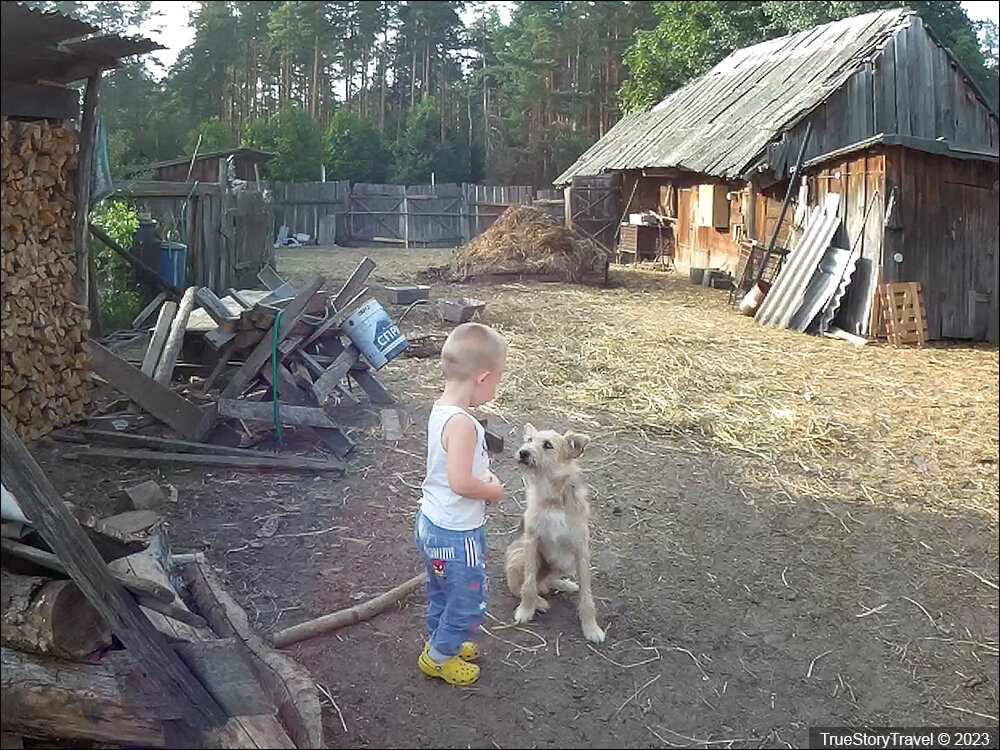 Беларусь - 5 вещей в деревне, которые нам очень помогают