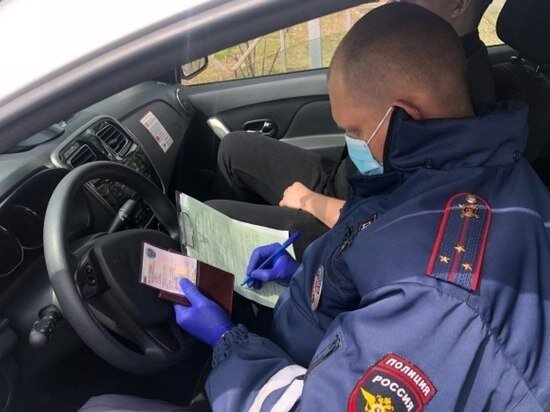     Фото: СУ СК по Курской области