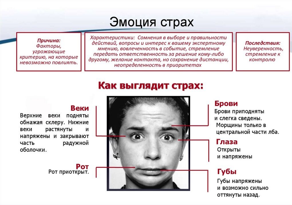 Презентация эмоция страха