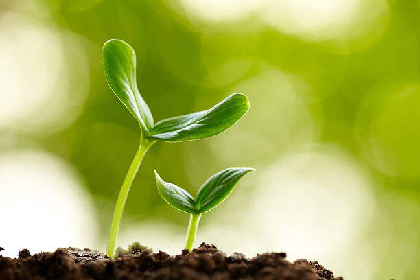 https://media.istockphoto.com