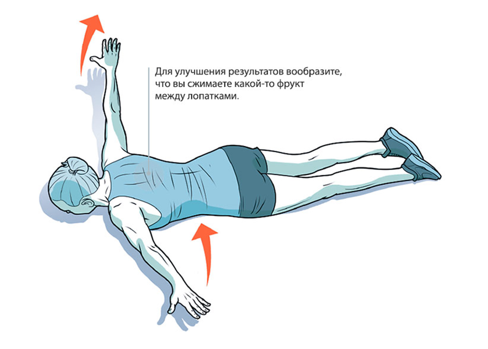 Упражнение полет для лежа. Планка какие мышцы. Комплекс упражнений лежа на животе. Обратная планка упражнение. 6 упражнений лежа