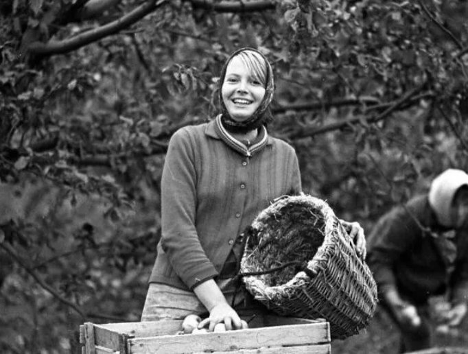  Посадка растений и сбор урожая знакомы каждому, кто хоть немного знаком с деревней. Труд тяжелый и не всегда оправданный, неумолимо сопровождает нас и сегодня.-2