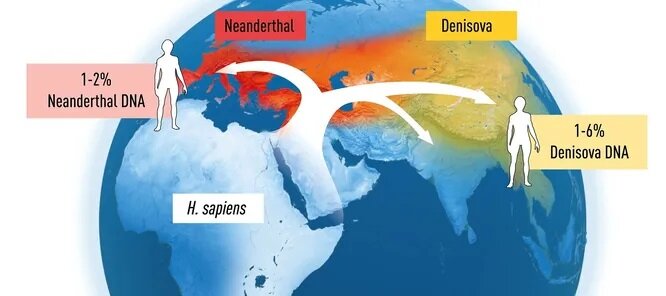    Расселение homo sapiens и скрещивание с неандертальцамиNobelPrize.org